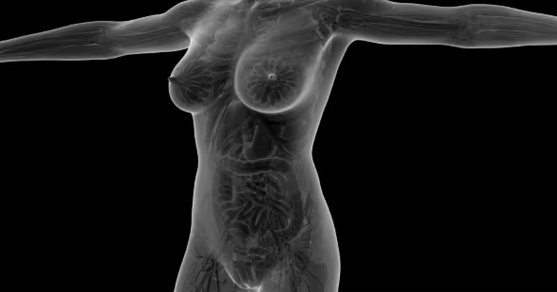 女性肌体人体可见血液系统视频素材2 Human Body With Glow Blood Vessels