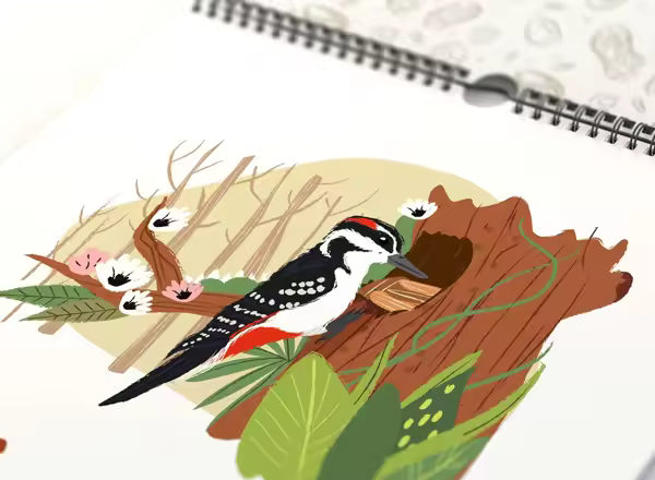 2017年小鸟觅食主题水彩插画年历模版 Seeds and Birds Calendar Template（非常适合制作中国年历本）