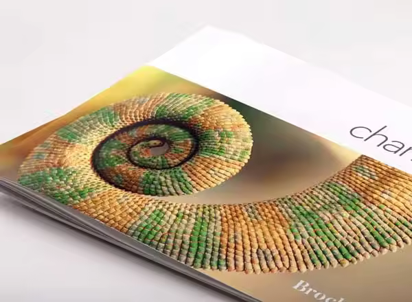 宣传小册子排版设计模板 Chameleon Free InDesign Brochure Template