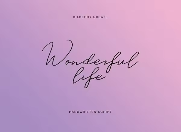 一款流畅优雅的手写字体 Wonderful life script