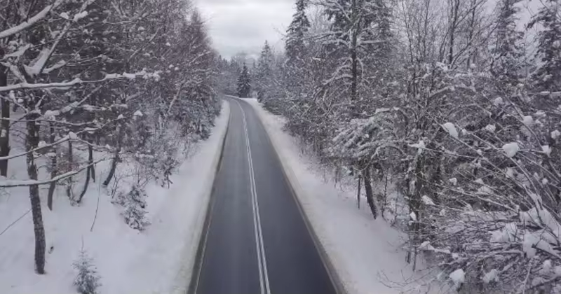 平静雪树间的道路视频素材 Paved Road Among Snowy Trees
