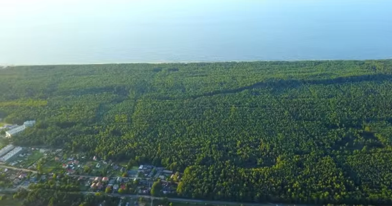 城市郊区植树林带航拍高清视频素材 Suburbs with Lush Woods