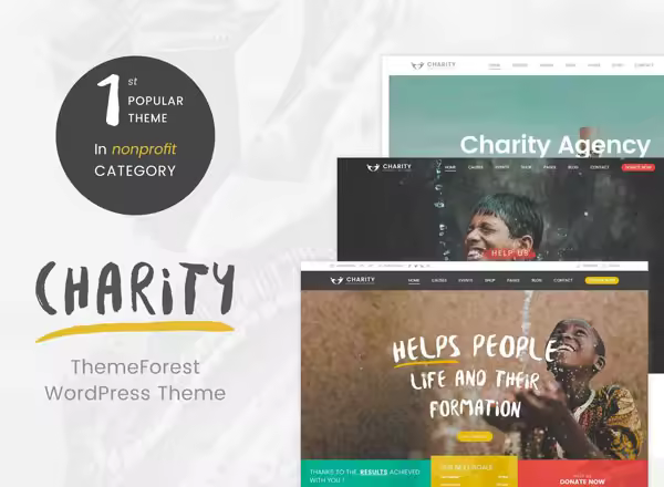 慈善非盈利机构适用的 WordPress 主题 Charity WordPress Theme