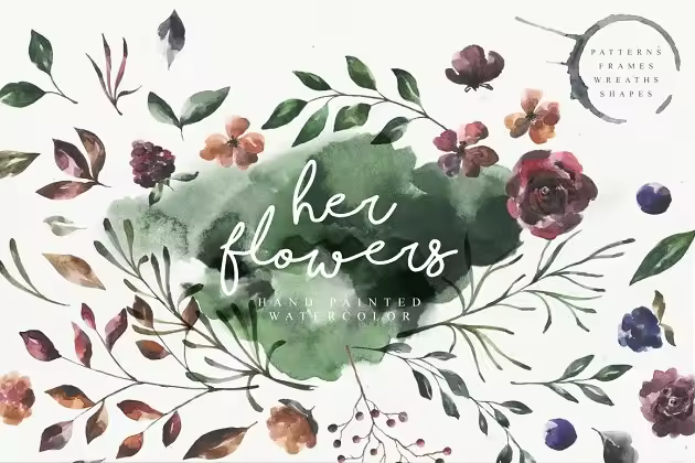 女性水彩花卉插画设计套装 Her Flowers Pro