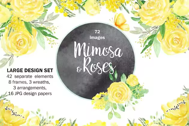 黄色含羞草&蔷薇花水彩插画素材 Mimosa & roses  yellow flowers
