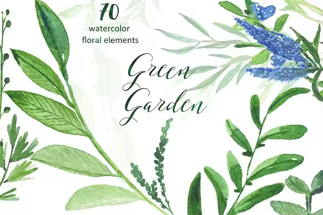 绿色花园水彩素材集 Green garden. Watercolor collection