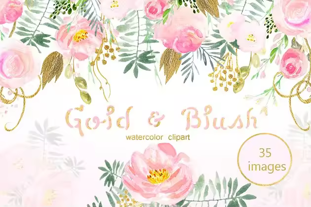 水彩浅粉腮红金色花卉剪贴画合集 Gold and blush watercolor flowers