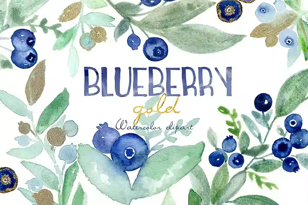 优雅水彩蓝莓插画剪贴画 Blueberry gold. Watercolors