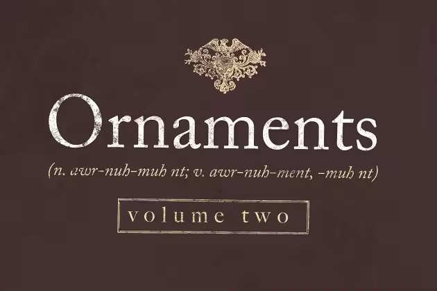 复古环绕装饰花边框架饰品套装 Decorative ornaments pack 2
