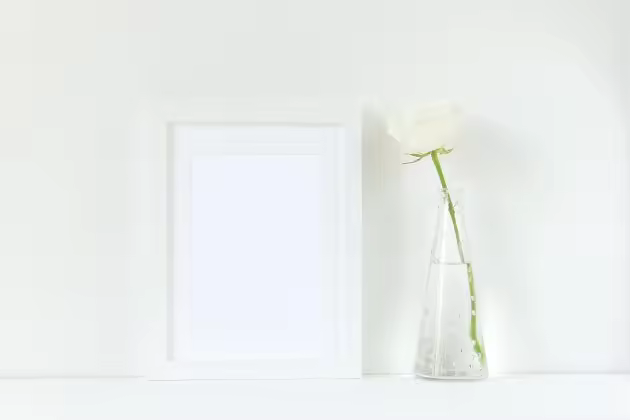 极简主义白玫瑰装饰画框样机 White frame mockup with rose