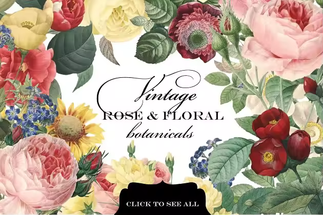 复古玫瑰花卉植物剪贴画 Vintage Rose & Floral Botanicals