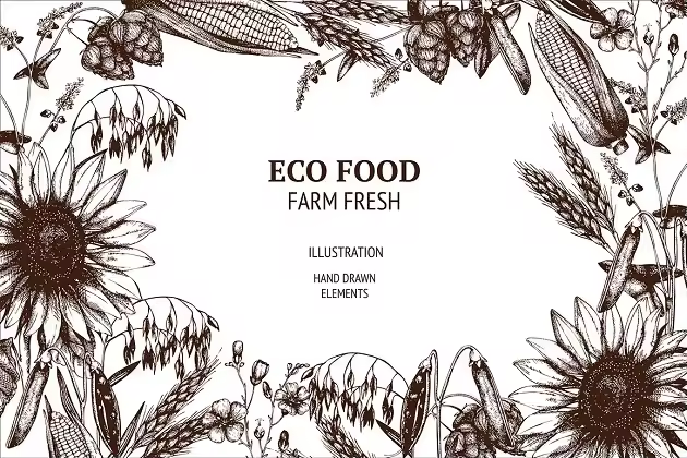 老式矢量农场植物插图 Vector Farm Plants Collection