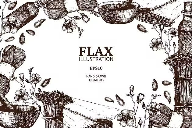 复古亚麻植物插画素材 Vintage Flax Illustrations