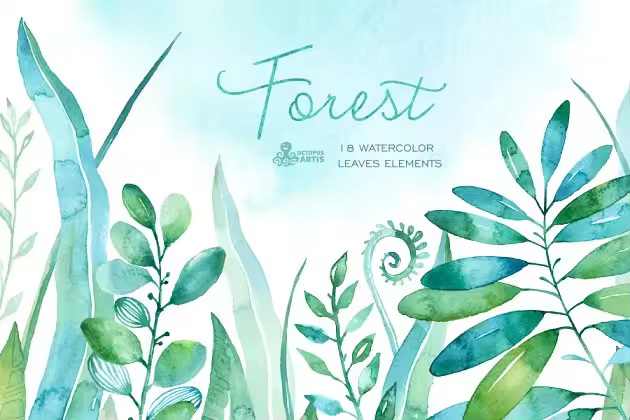 森林水彩树叶素材 Forest watercolor leaves