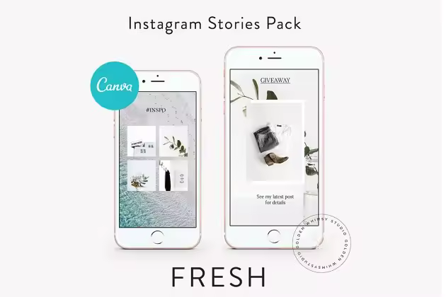 极简主义品牌社交媒体宣传Canva模板 CANVA Fresh Insta Stories