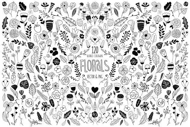 120款美丽的手绘花卉设计元素 120 Hand Drawn Florals Vector & PNG