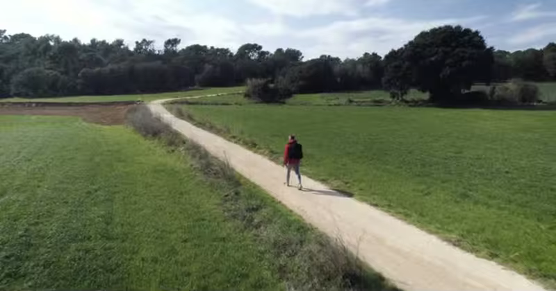 徒步旅行者乡间步行高清视频素材 Lonely Hiker Walking On Country Road