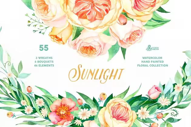 46款高质量手绘水彩花卉剪贴画 Sunlight. Floral Collection