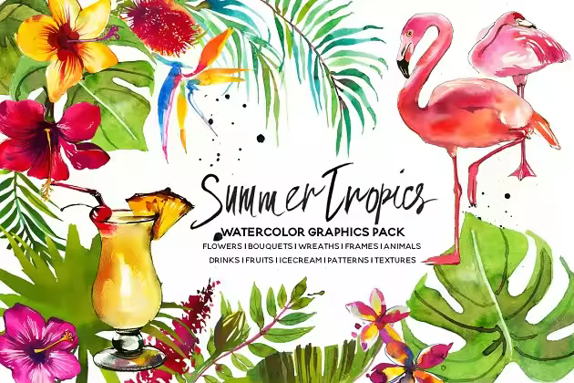 热带水彩花卉超级素材包[1.92GB] Tropic Watercolor Flowers & Animals