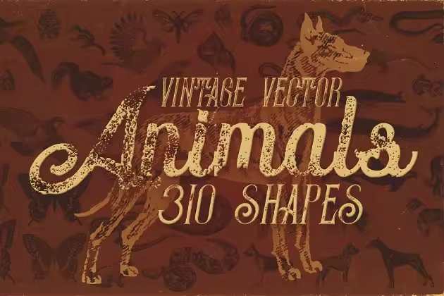 310种复古风格动物矢量图形 310 Vintage Animals Vectors