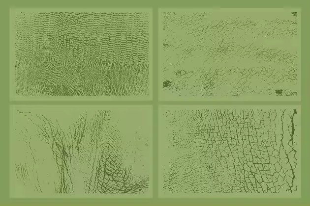 20种动物皮肤纹理 20 Animal Skins Textures – VES11