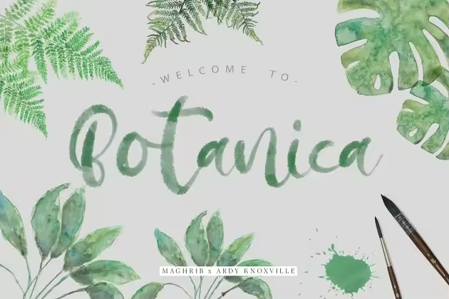 手绘笔刷字体 Botanica Regular & OpentypeSVG