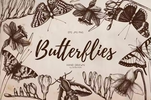 复古风格蝴蝶手绘插画 Vector Butterfly & Flowers Set