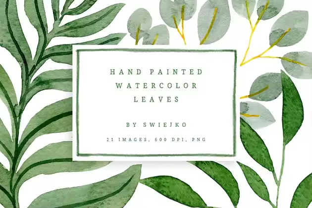 异国风情水彩热带树叶数字图像 Watercolor Foliage set