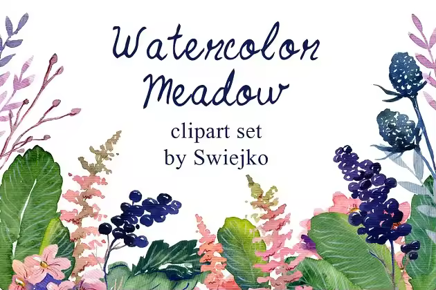 浪漫手绘乡村花卉浆果元素剪贴画 Watercolor floral set