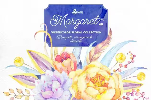 玛格丽特水彩花卉插画 Margaret. Watercolor flowers