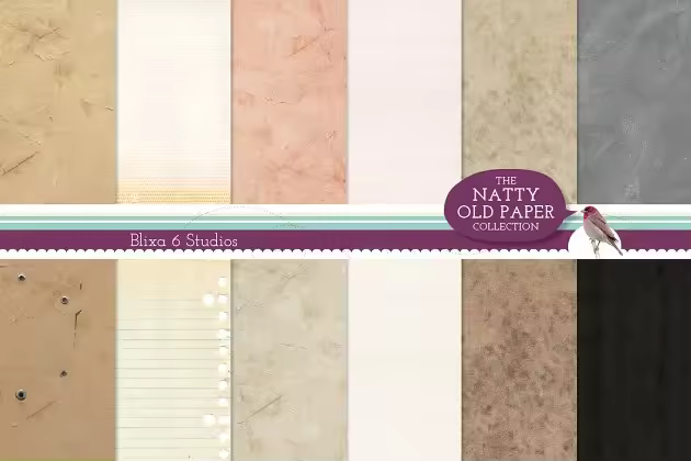 华丽的高分辨率数码牛皮纸张纹理 Worn Paper & Texures Sample Pack