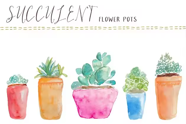 水彩多肉盆栽植物插画素材 Watercolor Succulents Flower Pots