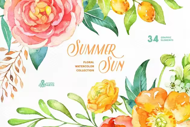 夏日太阳色水彩花卉插画 Summer Sun. Floral Collection