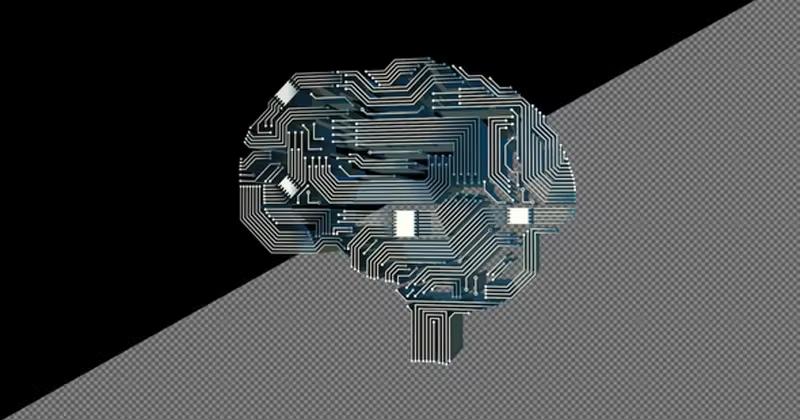 脑循环电路抽象背景视频 Brain Circuits