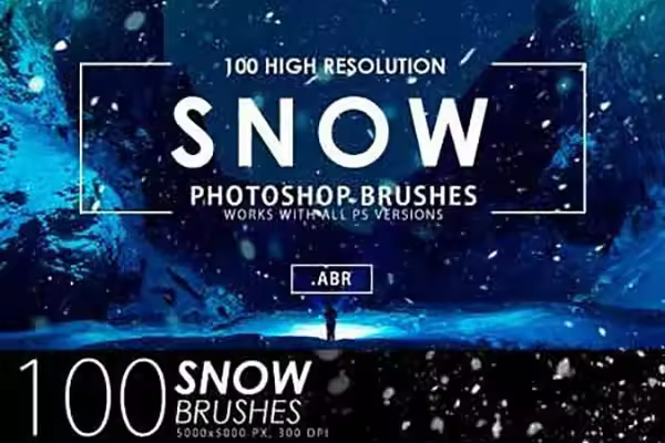 100个逼真雪花的PS笔刷 100 Snow Photoshop Brushes [abr]