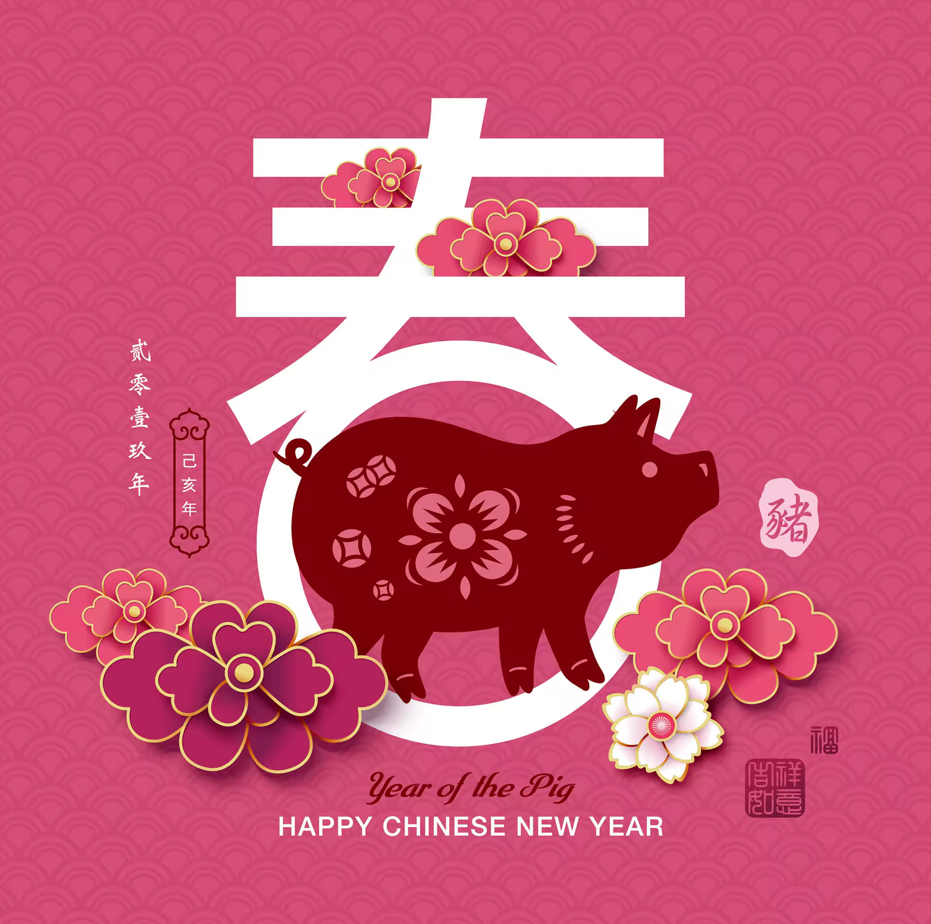 富贵的春节新年猪年红包矢量素材[Ai]