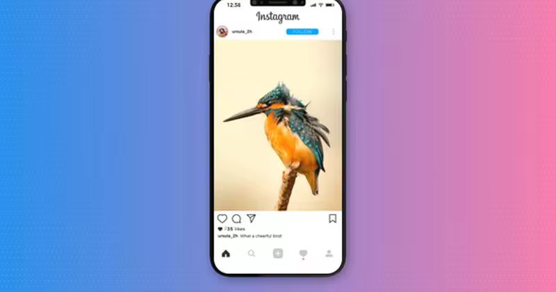 Instagram社交软件设计演示AE模板 Instagram Promo
