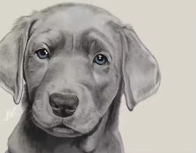 Puppies
