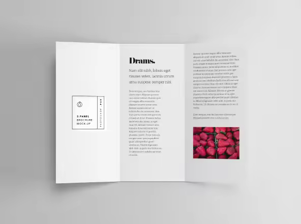 三折页传单内页设计效果图样机 3 Panel Brochure Mockup
