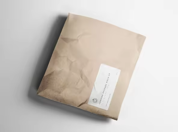 牛皮纸快递运输包装袋设计效果图样机 Shipping Package Mockup