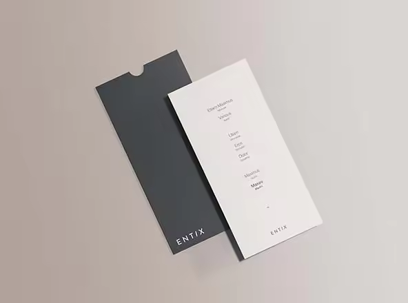 高端简约DL传单设计效果图样机模板 DL Flyer Mockup
