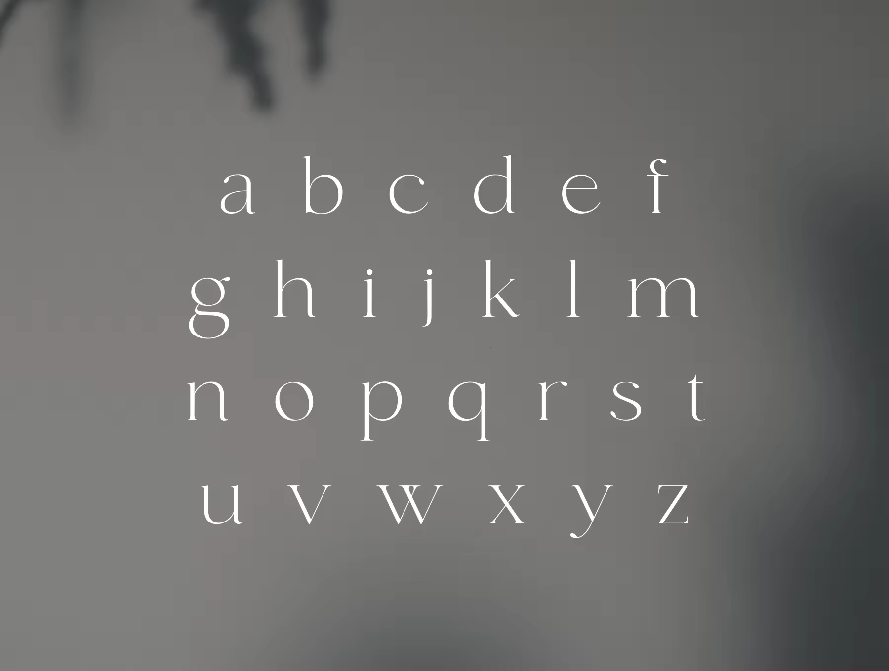 fonde-elegant-chique-font-8_1604889059275