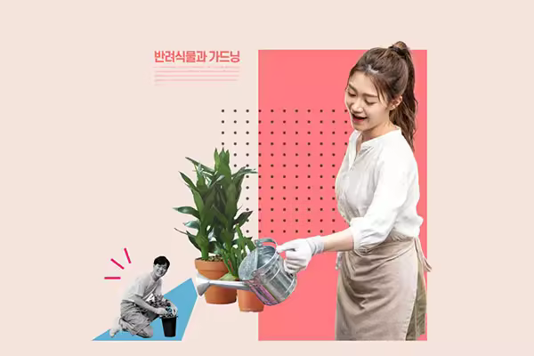 园艺绿植培养海报设计韩国素材[psd]