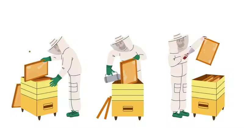 养蜂人以不同的姿势