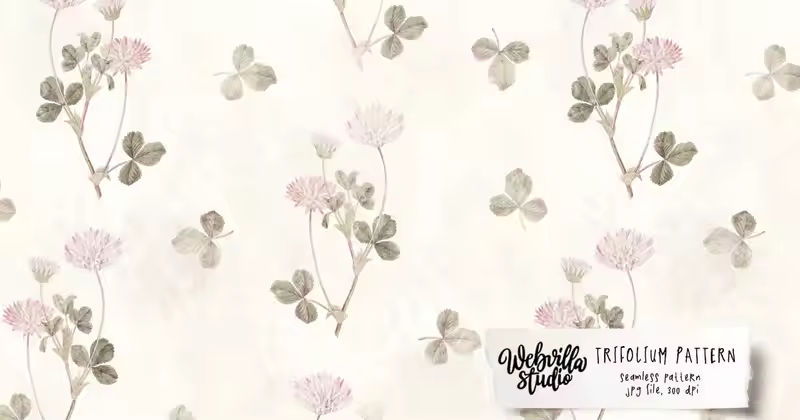 三叶草旧壁纸
