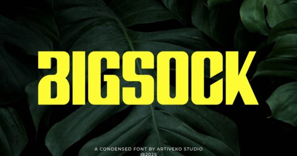 Bigsock 压缩显示字体