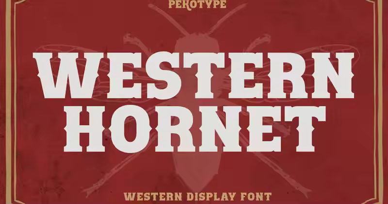 Western Hornet – 西部显示字体