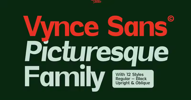 Vynce Sans 独特的风景如画的展示系列